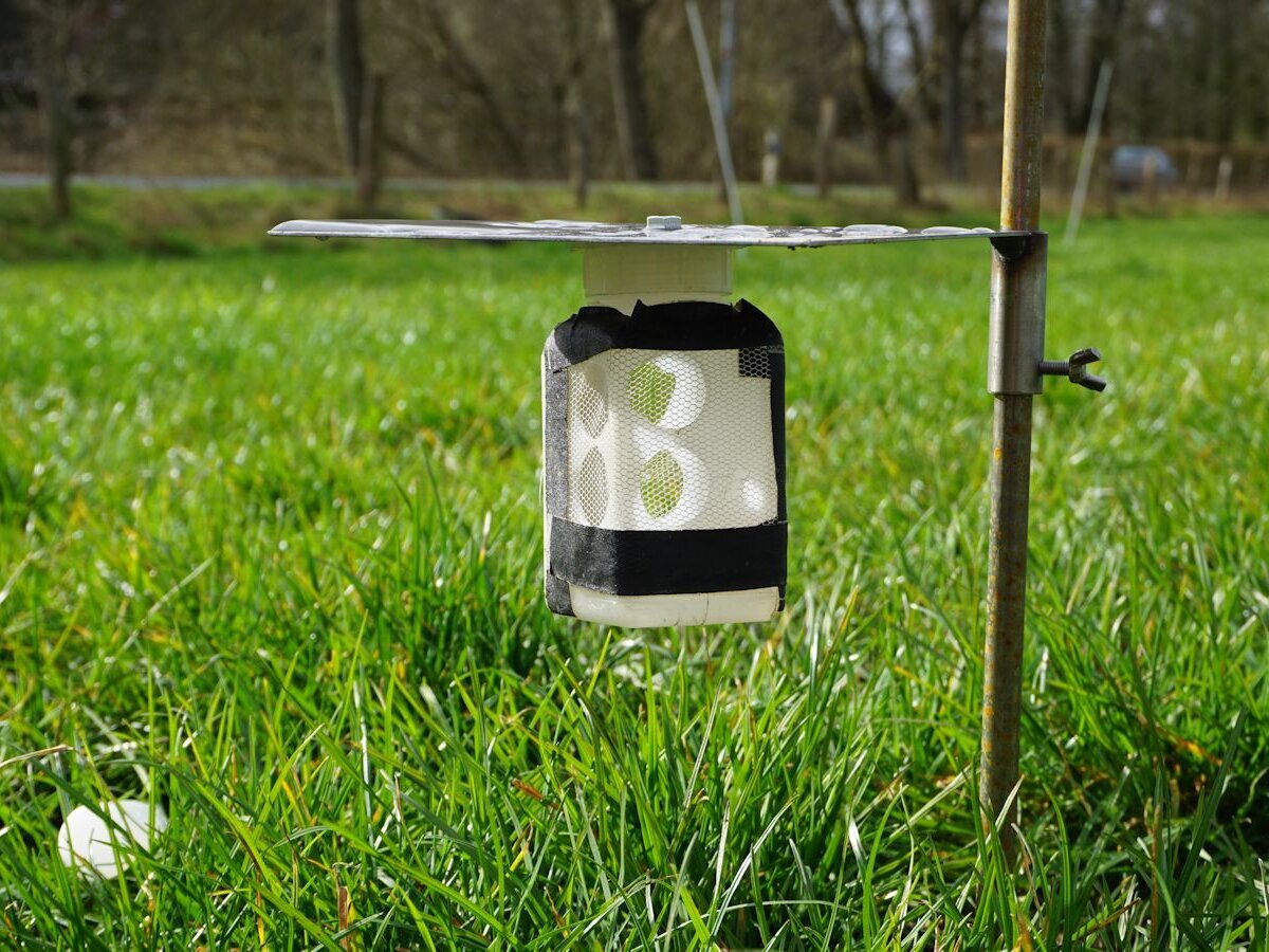 Messung der NH3-Emissionen mittels Säurefalle