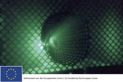 Passive Shrimp fishing (TRAPS)