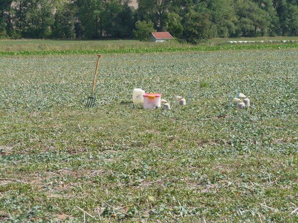 Soil sampling in an arable field