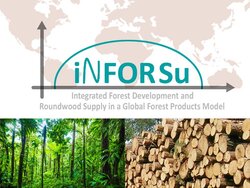 Modellierung des globalen Rohholzangebots