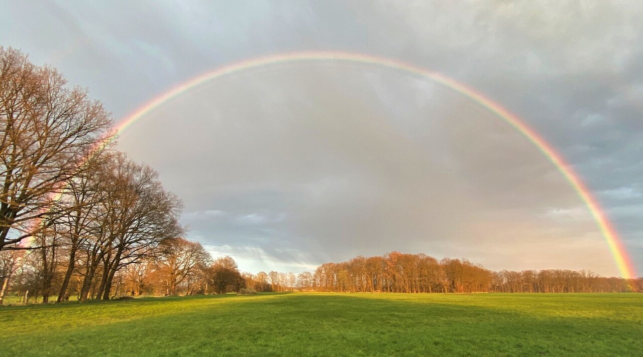 [Translate to English:]