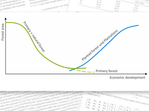 Schematische Darstellung der erweiterten Waldübergangshypothese für Primär- und Naturwälder sowie für aufgeforstete Wälder und Plantagen.