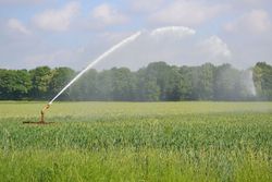 LAWAMAD – Landwirtschaftliches Wassermanagement Deutschland (Teilprojekt C)