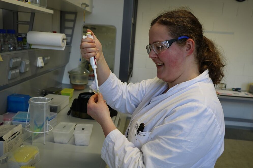 Analytik Probenverdünnung Analytik Probenverdünnung