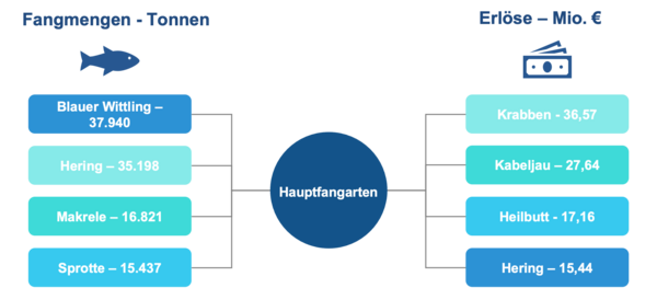 Grafik zu Fangmengen und Erlöse der Hochsee- und Küstenfischerei in Deutschland