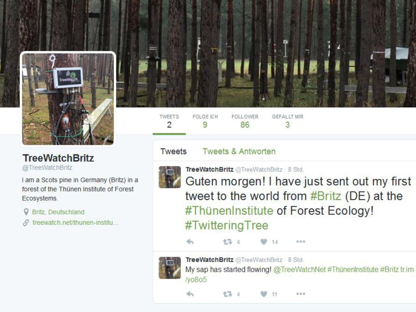 Auf der Versuchsfläche twittert eine Kiefer "TreeWatchBritz" über ihre Wasserversorgung
