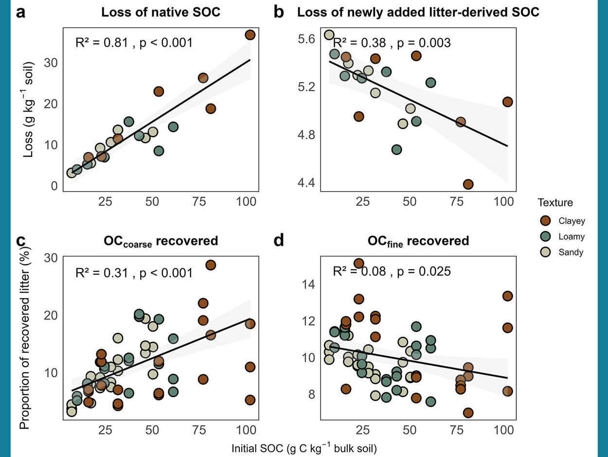 A figure from the paper.