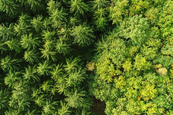 Drone image of two different stocks