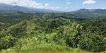 Degradierte und teilweise wiederhergestellte Landschaften in der Fallstudienlandschaft Penablanca, Philippinen