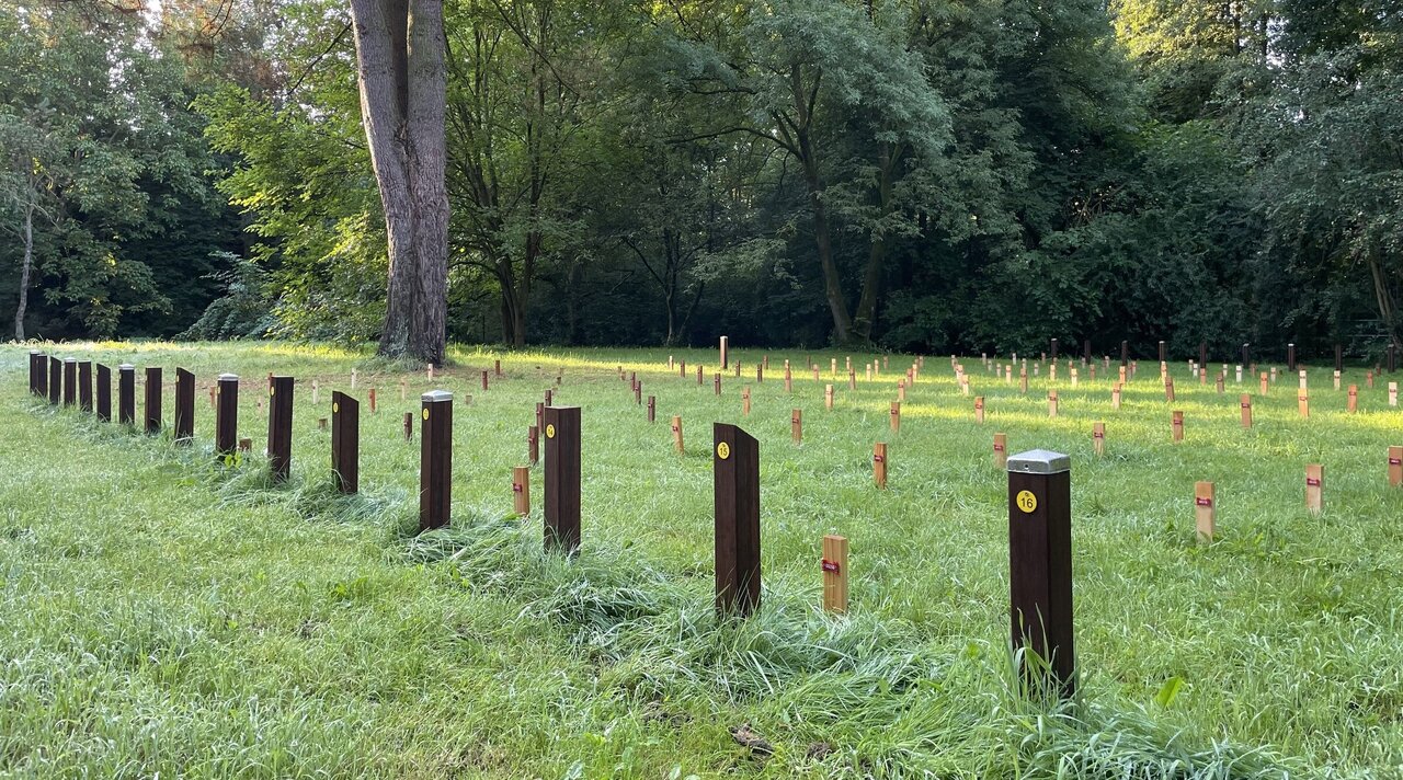 Testfeld mit Holzproben