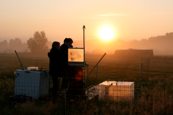 Die Messung von Tagesgängen der Kohlenstoffdioxid-Flüsse mit manuellen Hauben startet vor Sonnenaufgang (Großes Moor bei Gifhorn, 04:45 Uhr).