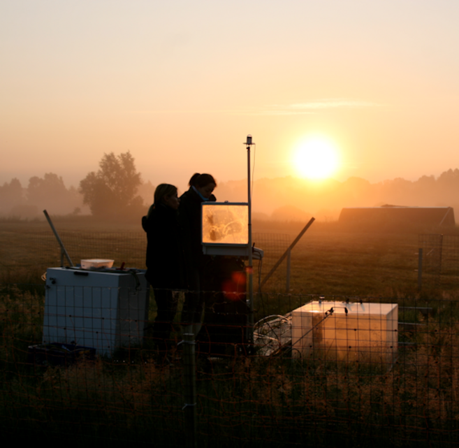 Die Messung von Tagesgängen der Kohlenstoffdioxid-Flüsse mit manuellen Hauben startet vor Sonnenaufgang (Großes Moor bei Gifhorn, 04:45 Uhr).