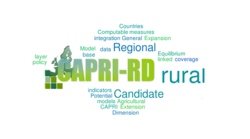 Common Agricultural Policy from the rural point of view: the CAPRI-RD model