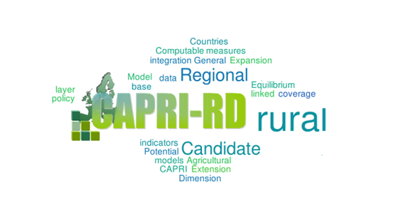 Project image: CAPRI-RD