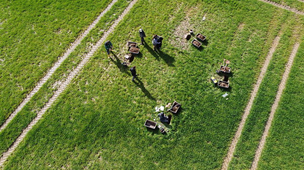 The teams conducting the agricultural soil survey take soil samples from fields and pastures every eight kilometers throughout Germany. 