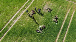 Humus macht den Boden stark