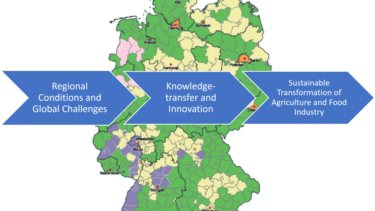 Innovation and Knowledge Transfer in Agriculture and the Food Industry