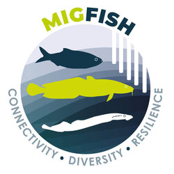 MigFish
