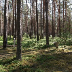 Measuring equipment on a monitoring area. ADAPT Wald-Holz