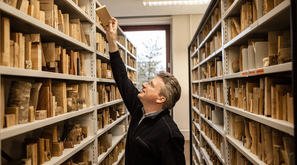 Eine Person steht vor einem Regal, in dem viele Holzstücke einsortiert sind.