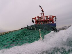Nachhaltigkeitszertifizierung von Fischereiprodukten: Der Marine Stewardship Council
