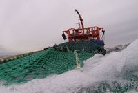 Blick über das Netz im Wasser auf das Fischereiforschungsschiff Solea
