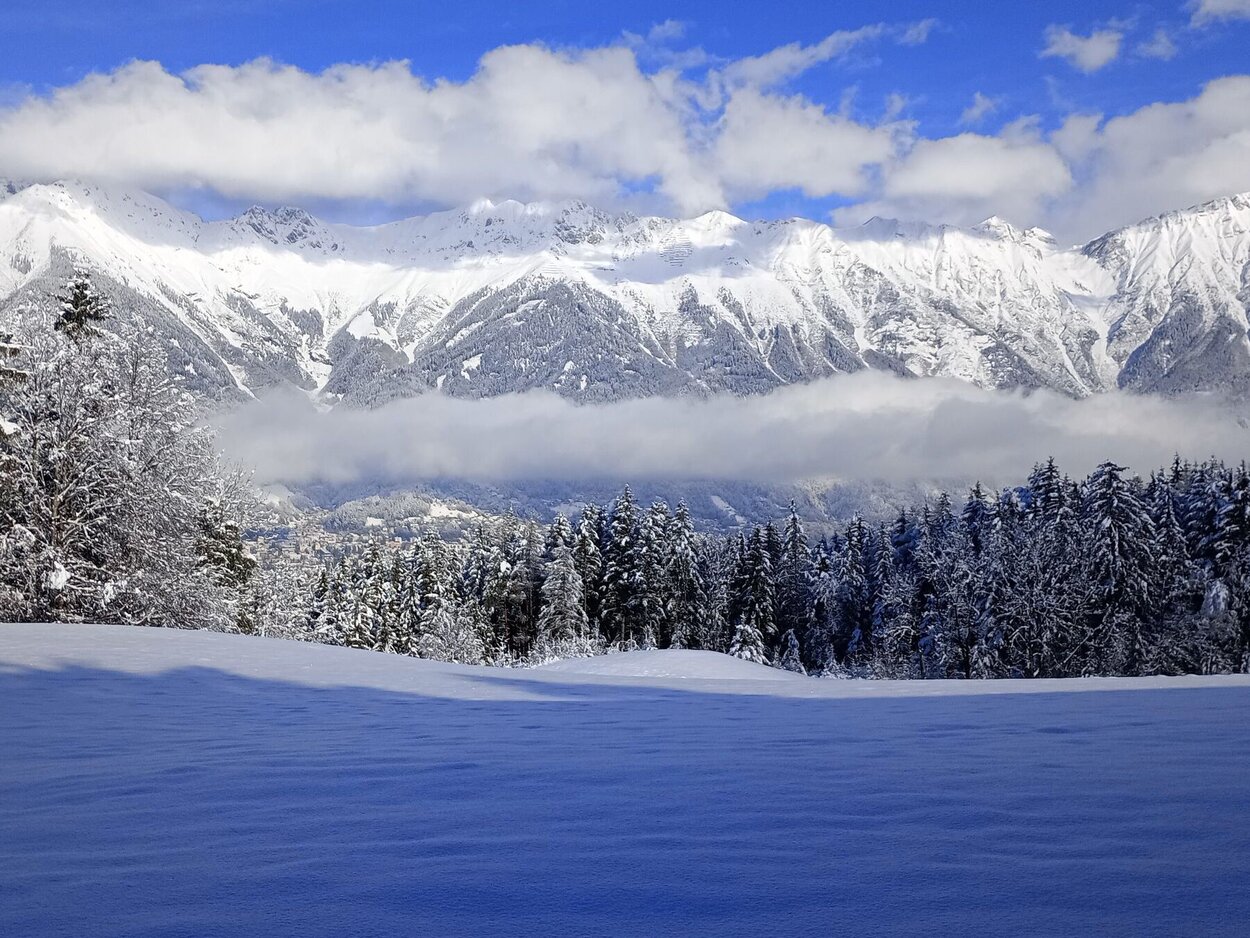Schneelandschaft in den Alpen