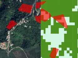 Remote sensing supports deforestation control
