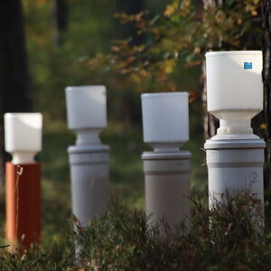 Niederschlagssammler in einem Waldbestand.