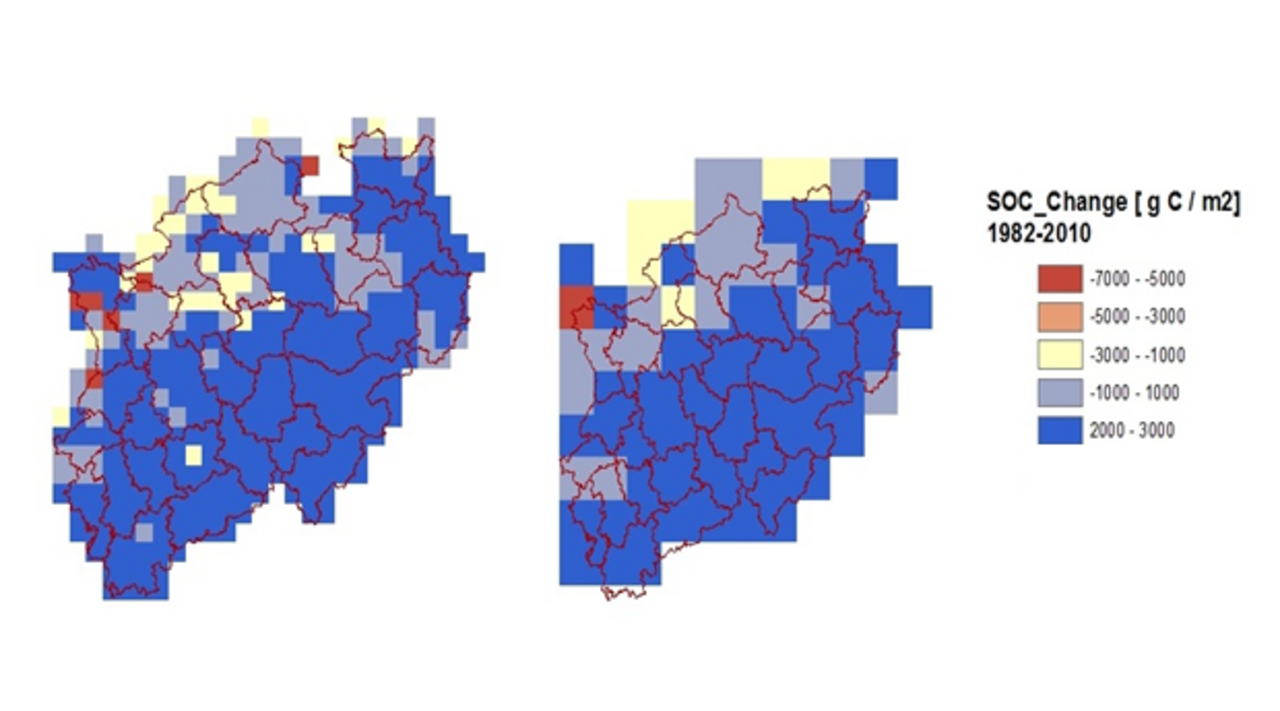 Untersuchung des Effekts räumlicher Datenaggregation auf modellierte Bodenhumusgehalte mit dem Model Century