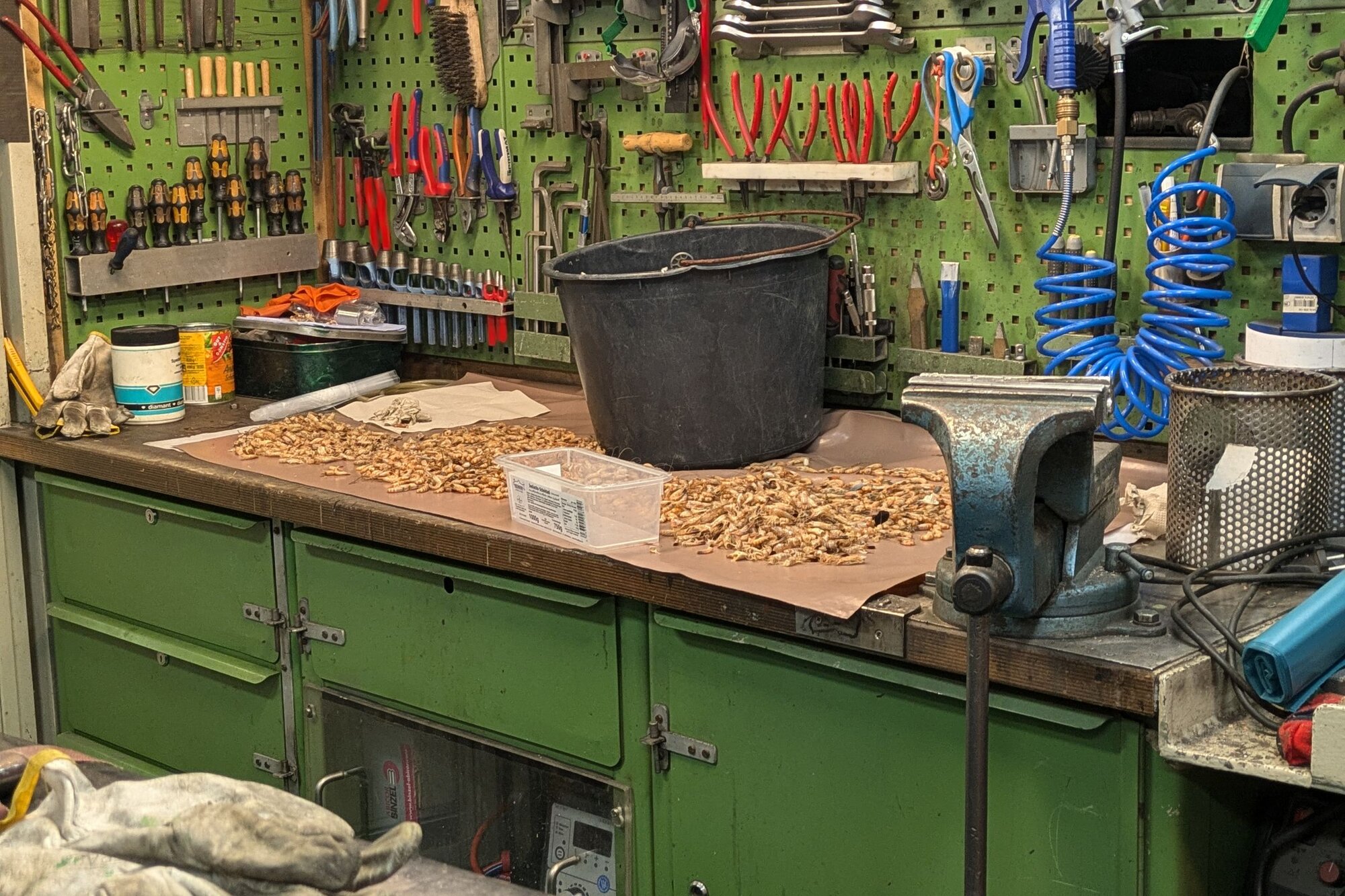 Überall an Bord wird nach Feierabend Krabben gepult. Auf einer Werkbank liegen Krabben und Krabbenschalen.