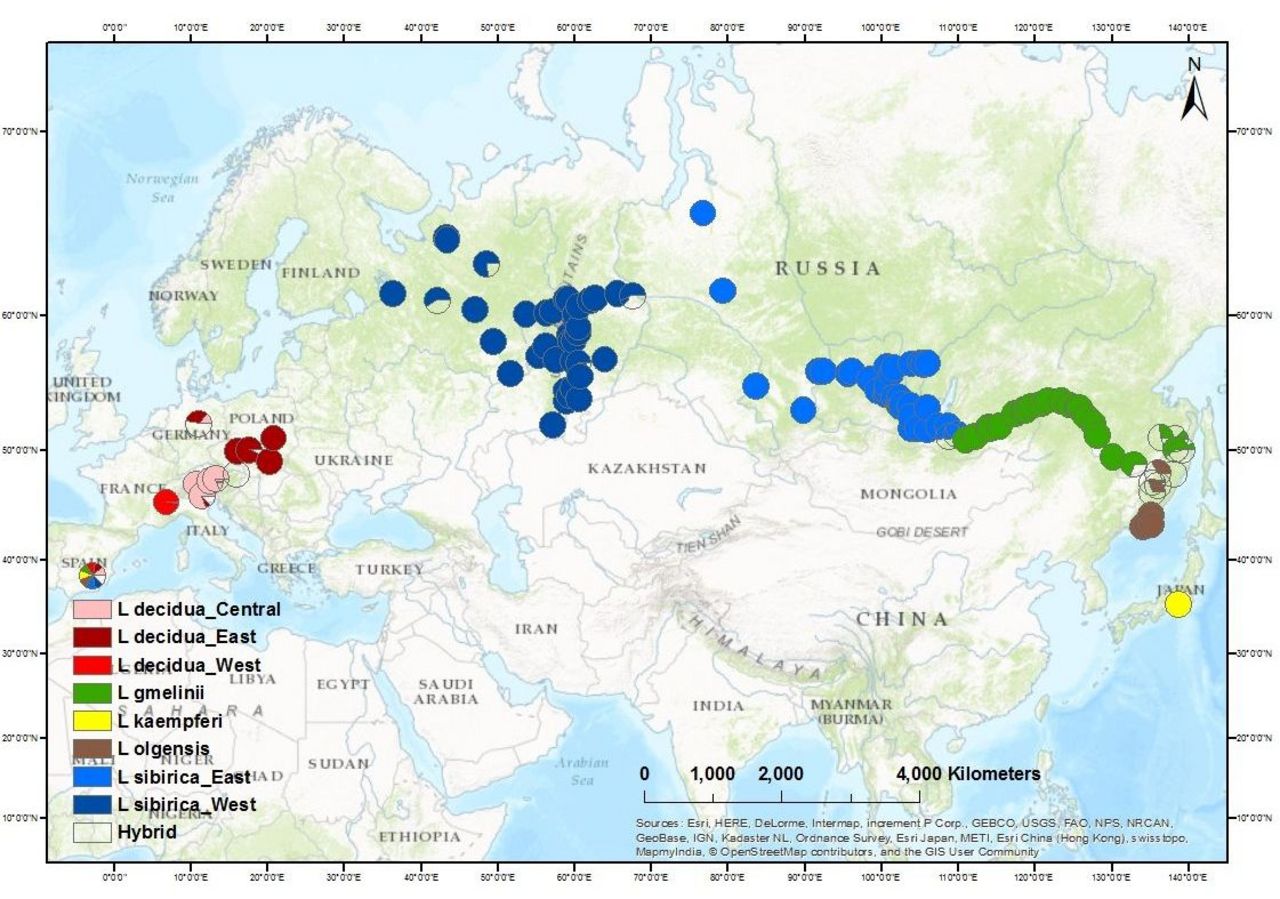 Genetic reference data and statistical methods for the identification of species and geographical origin