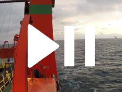 IBTS – International bottom trawl survey