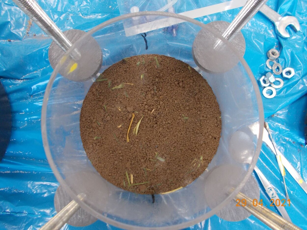 Microcosm from above. You can see the pieces of cover crops mixed with the soil.