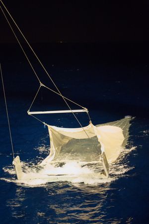 Das Isaacs-Kidd-Midwater-Trawl (ein Planktonnetz) wird bei Nacht an Bord geholt. Es befindet sich gerade noch halb im Wasser.