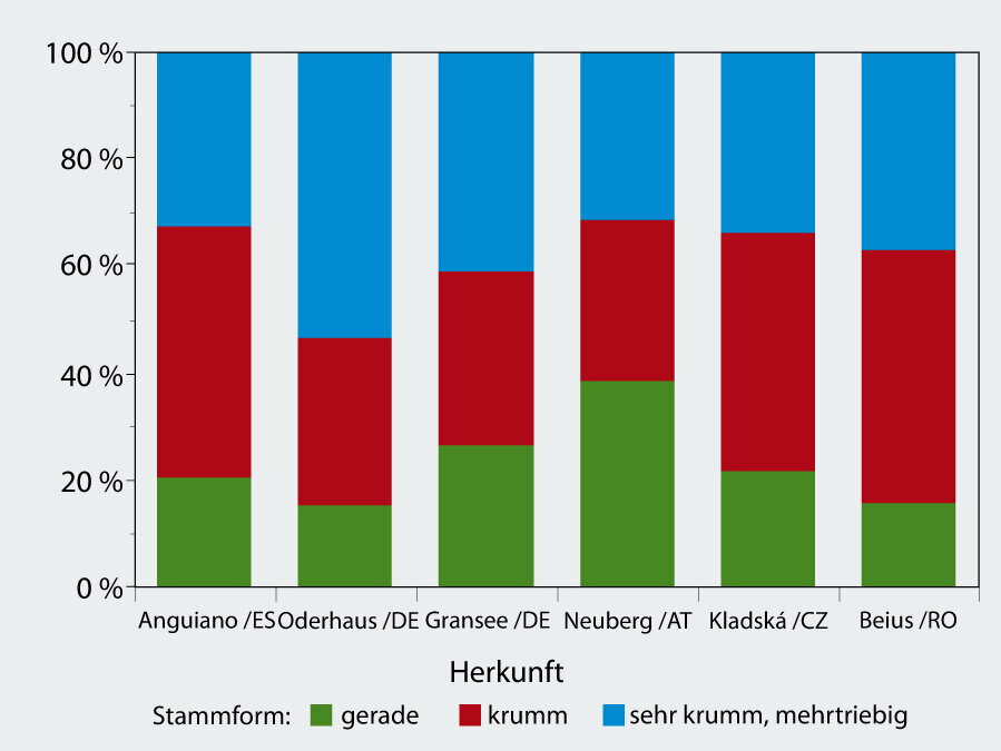 Das Säulendiagramm zeigt Stammform (gerade, krumm, sehr krumm) der sechs Herkünfte