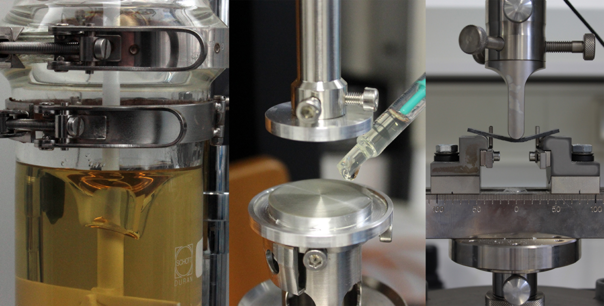 Synthese und Charakterisierung biobasierter Polymere