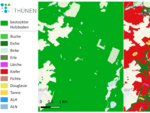 Kartenausschnitte zum bestockten Holzboden (links; grüne Flächen) und zu den dominierenden Baumarten (rechts) mit Übersicht der kartierten Baumartengruppen (rechts; bunte Flächen)..