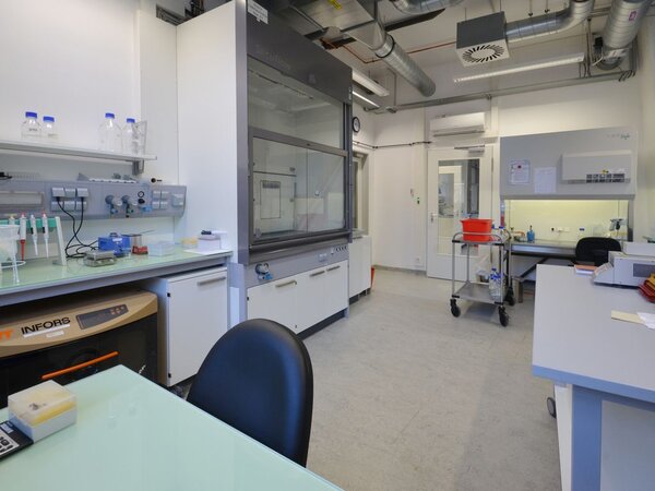 Click to zoom image Lab B9 – fungi lab