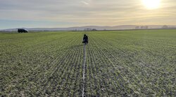 CAFAMORE – CArbon FArming MOnitoring and REgistry