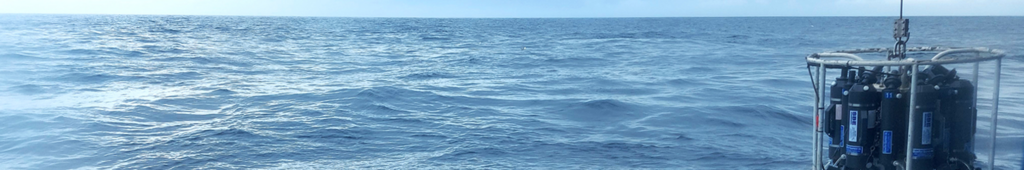 Meer mit Wasserschöpferrosette