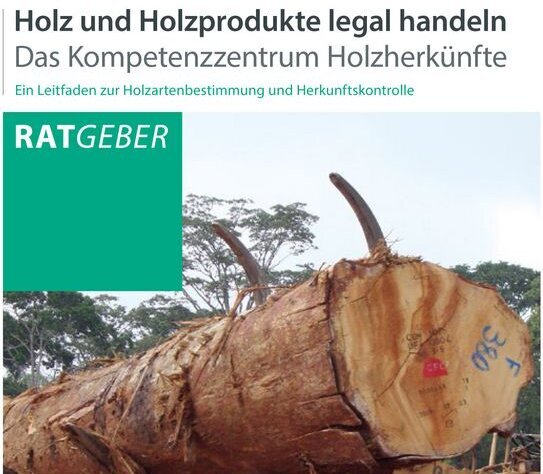 Der neu erschienene Thünen-Ratgeber über Holz und Holzprodukte