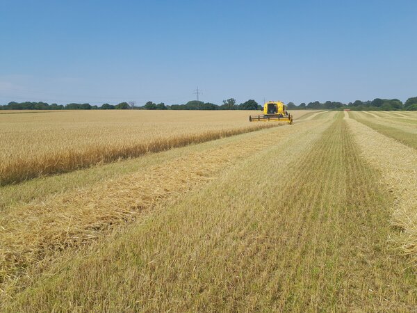 Klicken für eine Vergrösserung