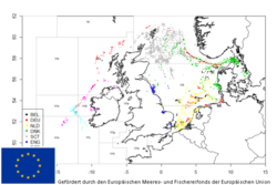 Praktikable Vorschläge für regionale Beprobungspläne (FishPi2)