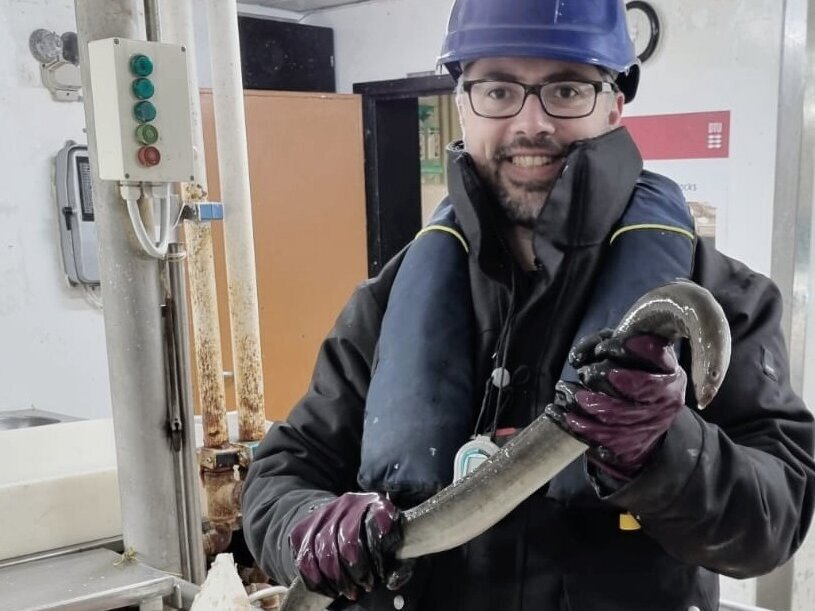 Ein Mitglied der Crew hält einen erwachsenen Aal in die Höhe.