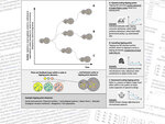 Graph: Modelling cross-scale feedbacks, tipping points, and cascades in socio-ecological system