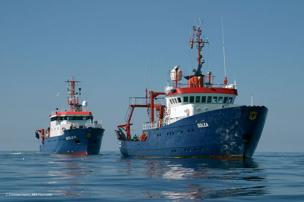 Zwei Forschungsschiffe liegen hintereinander vorn das alte Schiff, hinten der Ersatzneubau