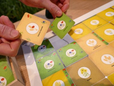 Karten des Biodiversitätsspiels in Nahaufnahme