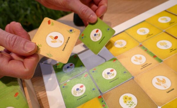 Karten des Biodiversitätsspiels in Nahaufnahme