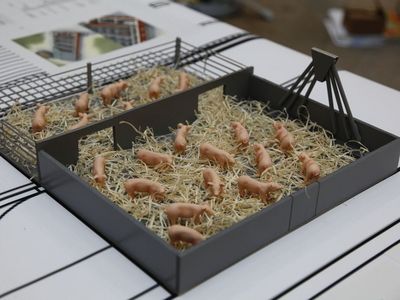 Model eines Schweinestalls mit Stroh auf dem Boden und offenem Zugang zur Freifläche
